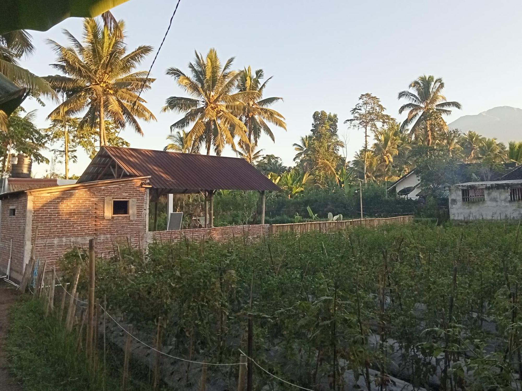 Stay Together Tetebatu Bagian luar foto