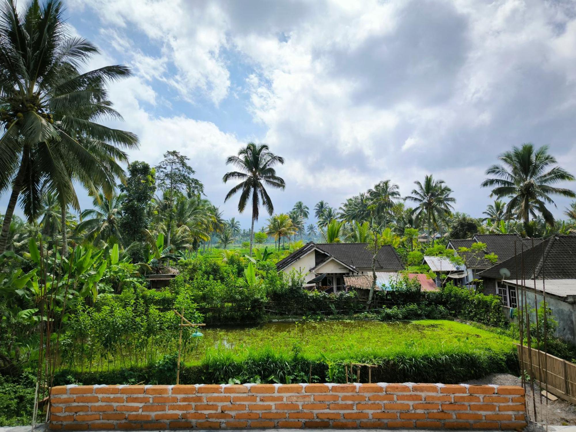 Stay Together Tetebatu Bagian luar foto