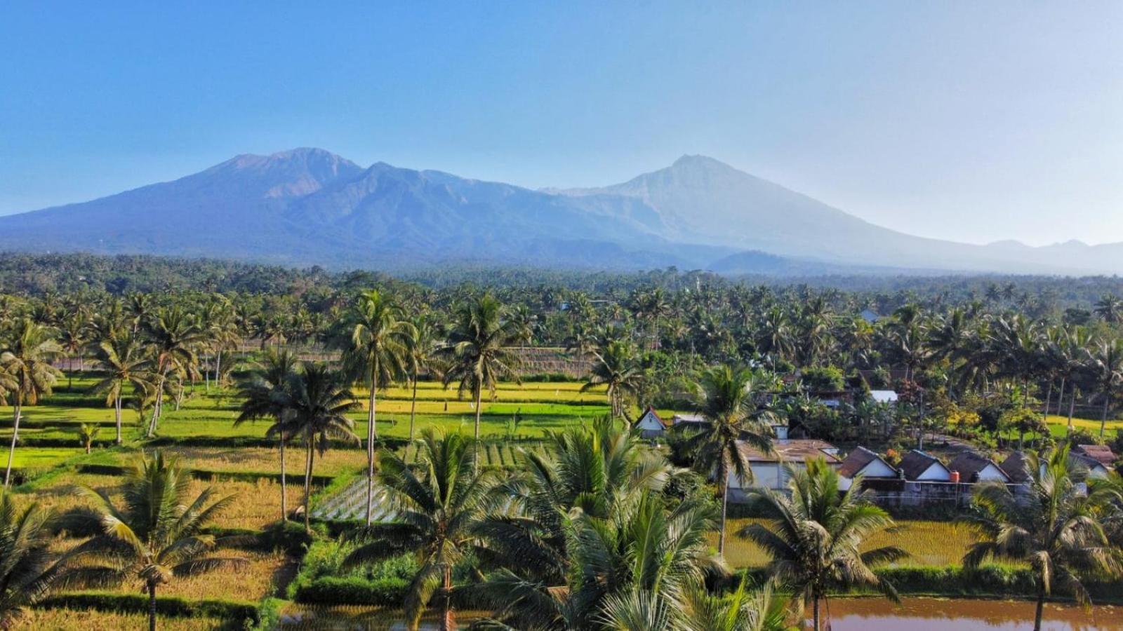 Stay Together Tetebatu Bagian luar foto
